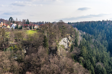 Forest on in Sudetenland, growing on sandstone mountains with vew houses in view
