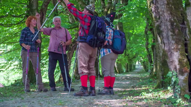 Four senior hikers are talking in the nature and showing something to each other
