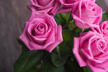 pink roses