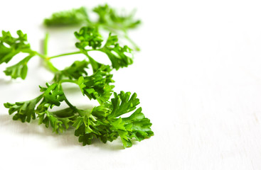 Curly parsley