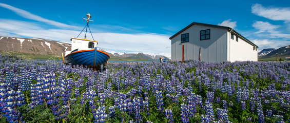 Pingeyri town, Westfjords, Iceland