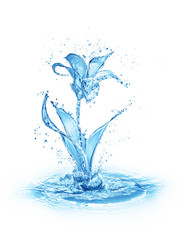 flower figure made of water on white background