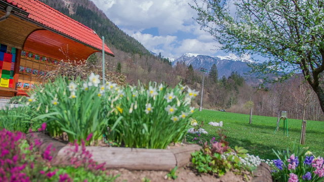 Beehive in nature on countryside