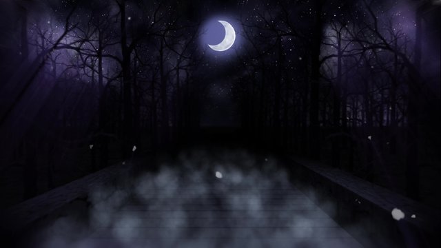     Seamless animation of camera zooming through the scary dark road path of foggy night wood with dead trees and crescent moon with glittering star in horror concept in 4k ultra HD loop 