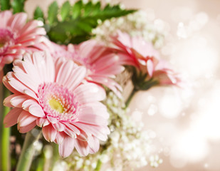 Obraz na płótnie Canvas Beautiful pink gerbera flowers