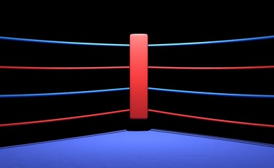 Download 97 962 Boxing Ring Wall Murals Canvas Prints Stickers Wallsheaven