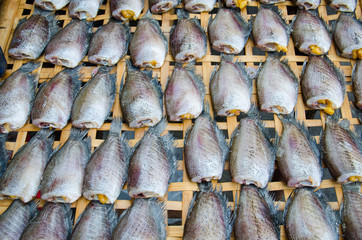 Dry Gourami fish, preservation.