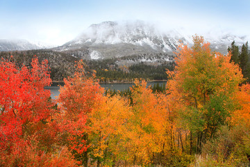 Snow covered mountains and autumn trees in Sierra Nevada mountains