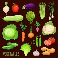 Set of fresh vegetables on dark background, healthy and organic food collection