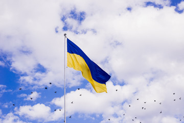Ukrainian flag