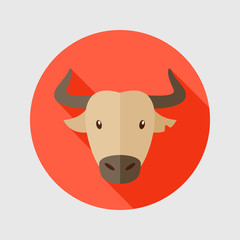 Spanish bull buffalo flat icon. Animal head vector