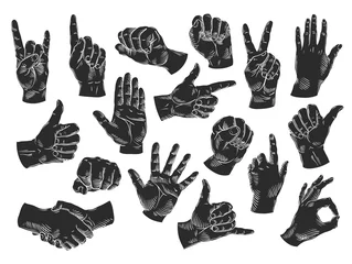 Fotobehang hands icons set. vector illustration © ~ Bitter ~
