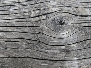 Nodo di legno in bianco e nero