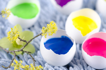 Happy Easter decoration with spring flowers and tempera paint in an egg shells