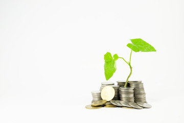 Coin to saving with growing plant