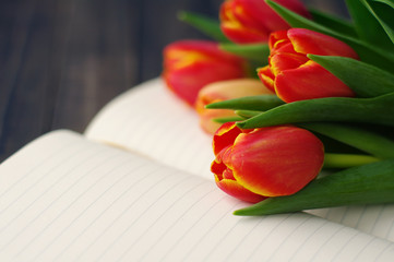 Tulip bouquet and open blank notebook on a dark wooden planks, close up