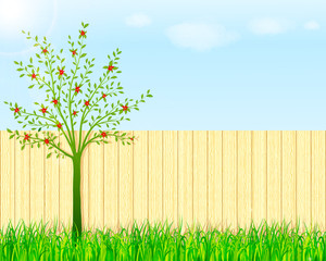 Backyard garden background