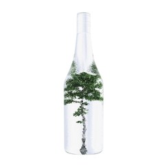 birch a tree inside the bottle, a tree inside the bottle, birch in a container, a tree in a flask