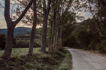 Fototapeta premium Old county road