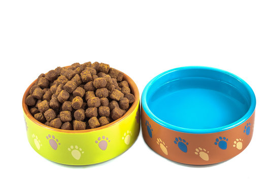 dry dog food and water in ceramic bowls isolated on white