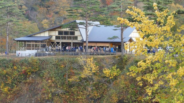 Osaki, Japan - 28 Oct, 2014 :  Bridge with leaves turning color in autumn in Naruko Gorge - Osaki, Miyagi, Japan