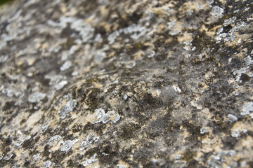 Rock background - grey and brown stone surface detail