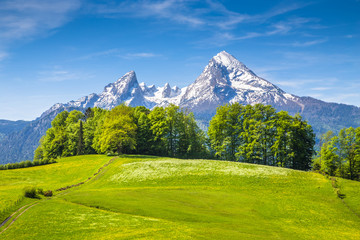 Watzmann mountain with green meadows in spring, Berchtesgadener Land, Bavaria, Germany