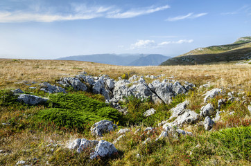 The top of Chatyr Dag mountain, Crimea