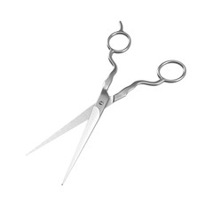 Professional Haircutting Scissors on white