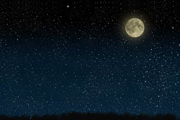 Fotobehang Nacht Mooie magische blauwe nachtelijke hemel met wolken en volle maan en sterren en gras