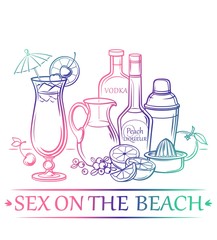Cocktail Sex on the beach with ingredients ( Vodka, peach liqueur, cranberry juice, orange juice, oranges, cherries, ice cubes ) and barman's instruments