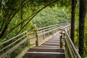 Fototapeta na wymiar Footbridge in Iguazu national park - Argentina