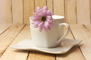 Tender pink chrysanthemum in white cup, on wooden background