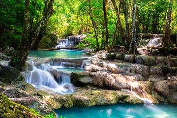Foto op Plexiglas Prachtige waterval in het diepe bos © calcassa