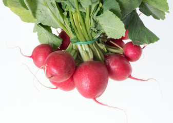 Radish / Radish over a white background