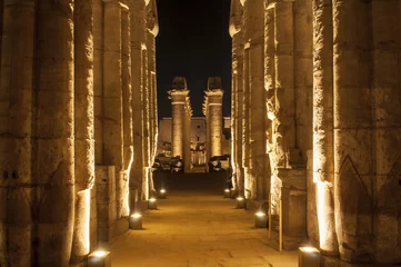 Photo sur Plexiglas Temple Complexe célèbre de temple de Louxor la nuit