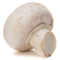 Champignon isolated on white background cutout