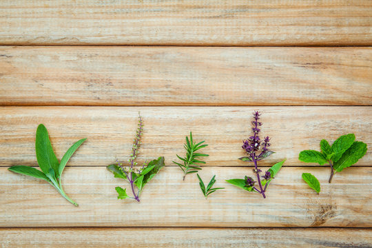 Various fresh herbs from the garden on rustic wooden background.