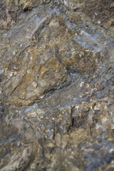Rock background - grey and brown stone surface detail