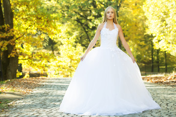 Fototapeta na wymiar Bride in beautiful dress outdoor