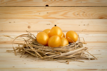 Golden Easter Egg Placed in the nest On a wooden background