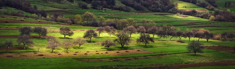 Zelfklevend Fotobehang apple orchard on the hills in early spring © NemanTraveler