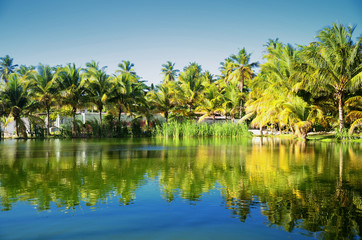 Fototapeta na wymiar Beautiful tropical garden with lake in carribean resort, Dominic