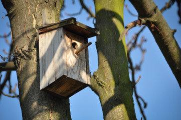 Vogelhaus Futterhaus 