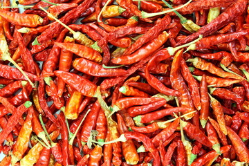 red chili pepper as background