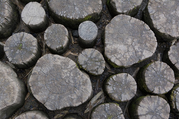 detailed view of garden path made of wooden logs