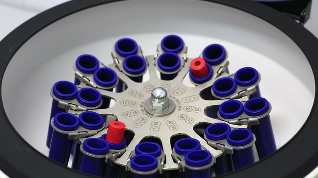 Technician placing blood tubes in the centrifuge.