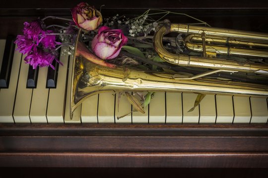 Flowers Trumpet Piano