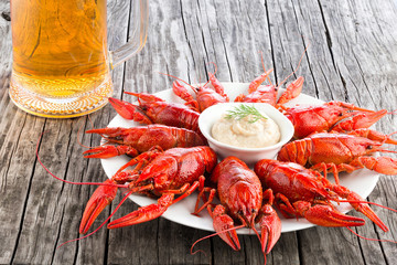 Boiled red crayfishes with glass of fresh lager beer