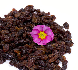 the raisin hill decorated with a flower on a white background